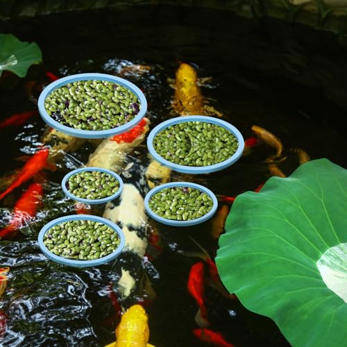 PEUTIER 5pcs Aquarium Floating Plant Rings, Foam Round Fish Feeding Rings 5 Size Floating Plant Corral Fish Tank Food Ring Keep Floating Plants in Place (Blue)