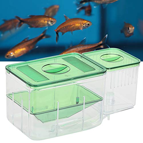 Fish Breeder Box,Double Layer Little Fish Isolation Hatching Incubator Aquarium Fish Isolation Breeding Box for Injured Small Fish Shrimp Clownfish Guppy