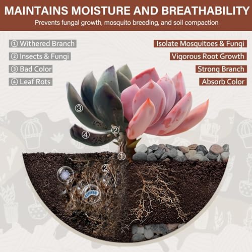 3 lbs Pebbles for Indoor Plants, 3/8 Inch Pea Gravel for Fish Tank, Decorative Rocks for Succulent, Natural River Stones for Vases, Cactus, Landscaping, Bird Bath, Aquarium, Mixed - color: Mixed, size: 3 Lb