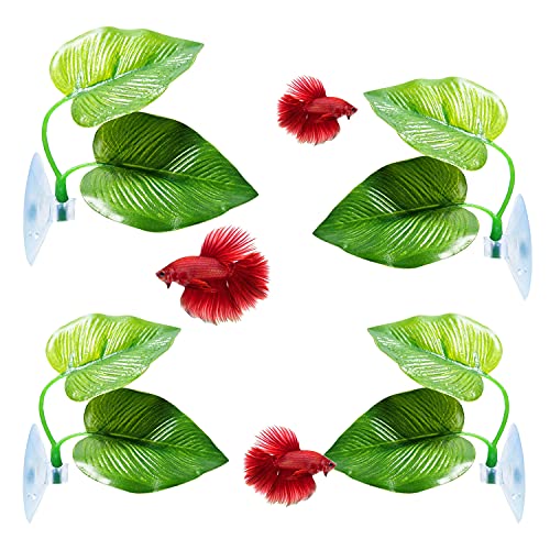 CousDUoBe 4 Pack Betta Fish Leaf Pad Improves Betta's Health by Simulating The Natural Habitat - Natural, Organic, Comfortable Rest Area for Fish Aquarium - size: 4 Pack