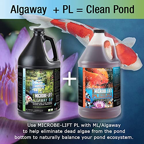MICROBE-LIFT ALGA16 Algaway 5.4 Algae Control Treatment for Ponds and Water Gardens, Safe for Koi Fish, Goldfish, Plants, and Decorations, 16 Ounces - size: 16 Ounces