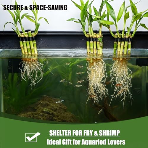 4-Pack Aquarium Plant Holder/Bamboo Clip-to hold bamboo stalks or other plants in a rimmed aquarium,5 elastic Holes-Fish Tank rim for 75 Gallon-Emersed Aquaponic Cultivation Decoration/Gifts