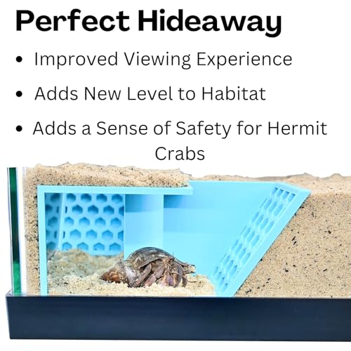 Hermit Crab Underground Tunnel Cave Corner | Hermit Crab Climbing Tank Decor Hide Hideout | Hermit Crab Habitat Hideaway Decoration Accessories Supplies Toys Ornaments (Sky Blue) - color: Sky Blue