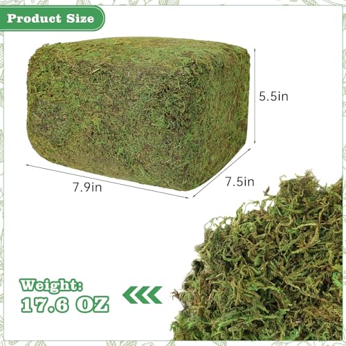 YUNVI 17.6 OZ Large Capacity Artificial Moss for Potted Plants,Natural Fake Moss Grass for Plants Indoor,Craft and Greenery Bulk for Hamsters(Fresh Green)