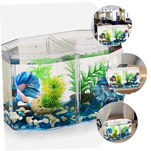 Totority Betta Tank Isolation Box Fish Hatchery Incubator Water Aquarium Accessories Fish Tanks Breeding Tank Small Animal Tanks Aquarium Supply Transparent Plastic