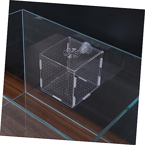 FRCOLOR Modern Fish Tank Isolation Box Clear Aquarium Breeding Box Suction Cup Ideal for Guppies and Betta