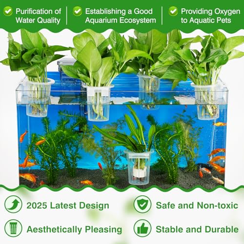 2025 New Upgraded Large Aquarium Plant Holder with 1.57-inch Extension Hooks and Suction Cups for Fish Tank Aquaponic Plant Cultivation and Aquascape Accessories Decorations (2 PCS) Transparent - color: Transparent-2 Pieces