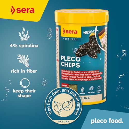 Sera Pleco Chips 3.4oz/0.21lbs | Premium Fish Food for Ancistrus & Plecos | High Fiber | No Dyes & Preservatives | Supports Digestion & Promotes Healthy Growth | Ideal for Bottom Feeders - size: 3.4 Ounce (Pack of 1)