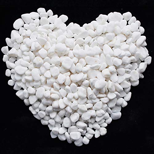 WAYBER 2 Lb/920g White Stones Decorative Pebble Rock Sand for Aquarium/Fish Turtle Tank/Vase Filler/Succulent Plants Decoration (Fill 2 Cups) - color: White, size: 2 Pounds