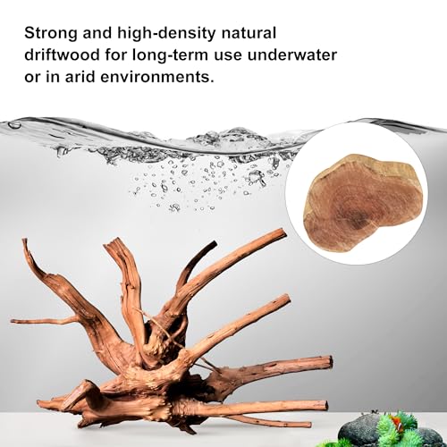 majoywoo Natural Driftwood for Aquarium Decor Fish Tank Decorations, Assorted Spider Wood Branch 4-8" 5 Pcs, Reptile Decor - size: Spiderwood 4 to 8 Inch(Pack of 5)