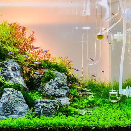 2Pcs 8mm to 5.5mm 8 Ways Air Line Tubing Splitter Connector Fish Tank Oxygen Pipe Air Tubing Adapter for Aquarium, Blue