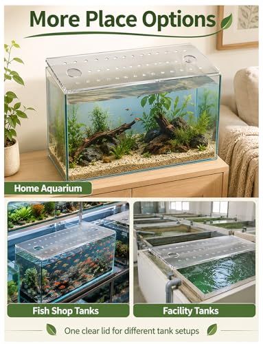 Acrylic Fish Tank Lid with 30 mm Feeding Holes and 8 mm Air Holes, Clear Aquarium Cover for Home, Retail, and Facility Tanks(4mm/30X30cm) - size: 4mm/30X30cm