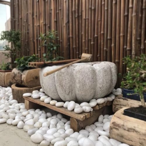 10LB White River Rocks - 2-3 inch High Polished Decorative Pebbles for Landscaping, Outdoor Decor and Plants - size: 10LB, style: White