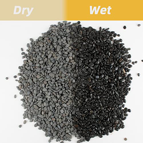 Black Rock, CJGQ 18lb River Rocks Pebbles for Plants Succulents, Decorative Outdoor Landscaping Garden Rocks, Natural Small Mexican Beach Pebbles Aquarium Rocks Gravel for Fish Tanks Vase Yard Decor - color: Black-Medium, size: 18lb