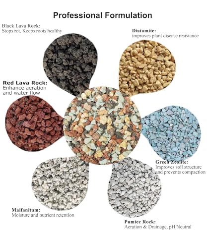 Boniosz 5lb Bonsai Succulent and Cactus Soil 1/8-1/4 inch Gritty Mix Rocks Gravel for Terrarium Top Dressing Decorative Pebbles Potting Soil Amendment for Pots Indoor Plants, Fast Drainage, Balance PH - color: Mix Colors, size: 5lb