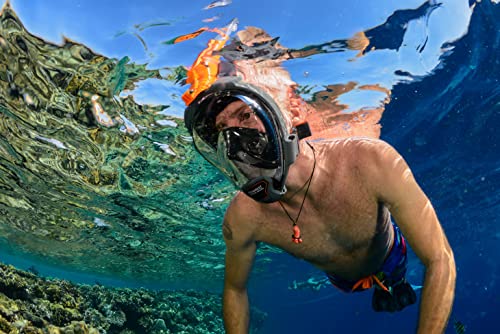 OCEAN REEF - Aria QR + Quick Release Snorkeling Mask - Full Face Snorkeling Mask - 180 Degree Underwater Vision - 8 Colours and 4 Sizes - color: Black, size: Small-Medium
