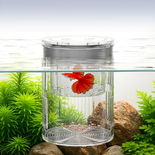 Floating Acrylic Breeder Box for Fish Tank - Aquarium Isolation Separator Hatchery Incubator for Guppy, Betta, Clownfish, Coral, Baby & Injured Fish - size: Medium