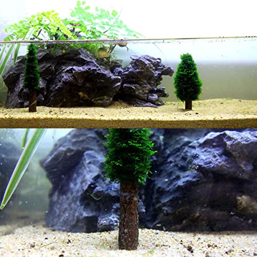 Aquarium Moss Holder for DIY Growing Live Mini Trees Shrimp Tanks Decoration Fish for Tank Accessories Aquarium Holder Decoration