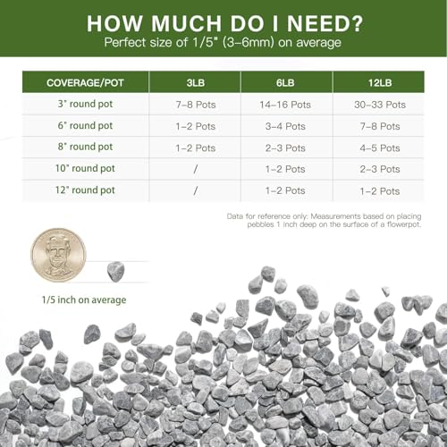 NUPICK 6 lbs Pebbles for Indoor Plants, 1/5 Inch Pea Gravel for Fish Tank, Decorative Rocks for Succulent, Natural River Stones for Vases, Cactus, Landscaping, Bird Bath, Aquarium, Grey - color: Grey, size: 6 lb