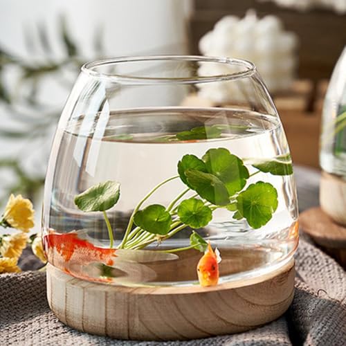 Glass Fish Bowl with Wooden Base - Clear Aquarium for Betta/Gold-Fish, Hydroponic Plant Vase, Desktop Tank, Art Deco Terrarium for Home Decor - size: 10cm