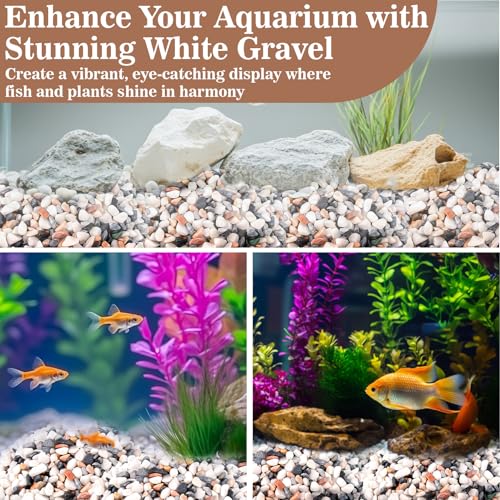 Sukh Mixed Color Pebbles for Succulent and Cactus - 420G 1/5 Inch Succulent Cactus Gravel Pebbles,Natural Decorative Polished River Stones,Small Rocks for Outdoor Gardening,Vases,Landscaping,Fish Tank