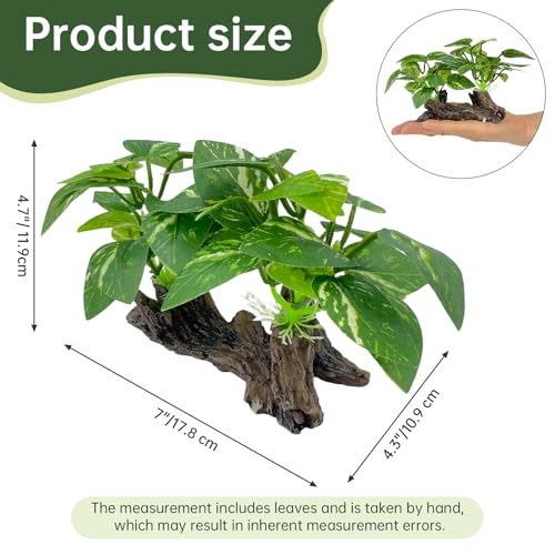 Aquarium Driftwood, Natural Fish Tank Decor for Betta, Reptile Hideout & Terrarium Ornament, Type-C - size: Type-C