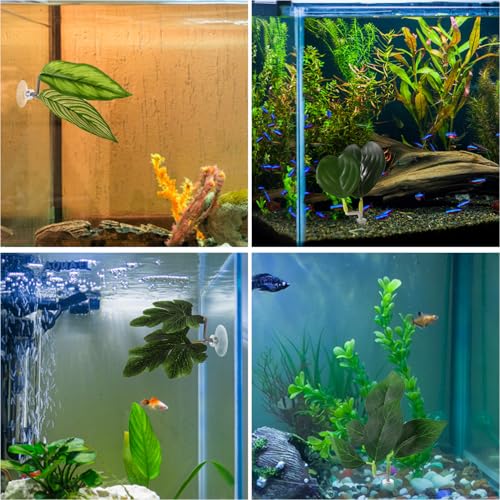 Lyreh 4pcs Betta Leaf Hammocks, 4 Styles Suction Cup Fish Tank Decor Leaves Fish Tank Plant Decor Accessories for Simulating Natural Habitats(Green)