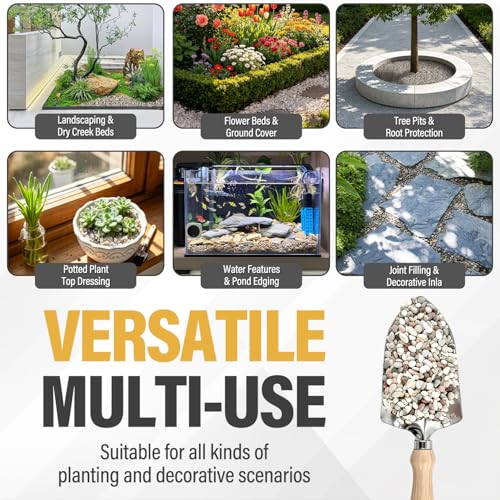 7lb Succulent and Cactus Gravel Pebbles, 1/5 Inch Mixed Color Natural Rocks for Fish Tank, Indoor Plants, Aquarium, Vases, Landscaping - color: AK Stones, size: 7lb