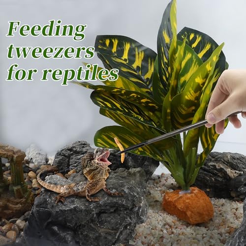 Reptile Feeding Tongs, Stainless Steel Lizard Feeding Tongs, Aquarium Straight Feeding Tweezers for Reptiles with Rubber Tip, Terrarium Feeding Tongs 10.63" L, Black Silver Tone - color: Black, size: 10.63"