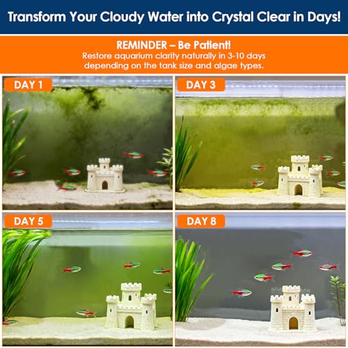 AquaMiracle Aquarium Filter with U - V Light & Filter Sponge, Fish Tank Filter with Timer for Green Water, Turtle Filter with Aeration & Rainfall Mode for Aquarium 20-70 Gallon - size: For Aquariums 20-70 Gal(SV-800)