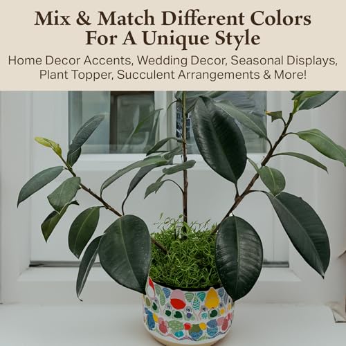 Preserved Spanish Moss - Decorative Moss - Dried Moss for Crafts, Home Decor, Art, Design & DIY Projects - for Indoor Use - Green Apple - Standard Box - Covers 10-12 sq. ft. - color: Green Apple, size: Large