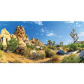 AWERT 36x20 inches Reptile Habitat Background Stone Blue Sky Oasis Cactus Sun and Desert Terrarium Background Polyester Background - size: 36x20in/90x50cm