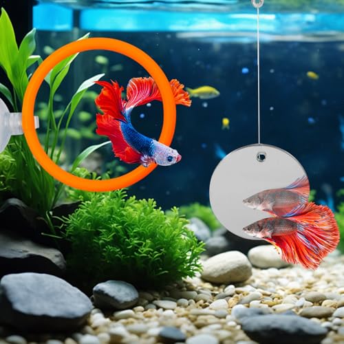 Beta Fish Aquariums Accessories, 1 Fish Mirror with Floating Ball & 2 Exercise Training Ring Toys, Fish Feeding Ring, Betta Fish Toys Set for Tank, Enrichment Toys for Fish - color: orange ring