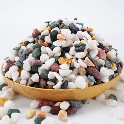 Natural Decorative Pebbles Rocks Polished Tterrarium Gravel White Stones with Red, Green, and Yellow Pastel Accents Mixed Color Aquarium Stones Garden Accessories Top Dressing for Bonsai Potted 2.2lbs - color: Five Colors Mixed, size: 2.2 lb