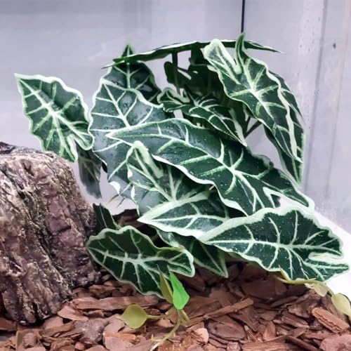 Reptile Plants,Terrarium Decor,Amphibian Habitat Decor,Artificial Plants for Gecko Chameleon Snake Tortoise Tank Accessories with Base(Alocasia) - color: Alocasia