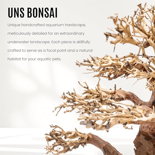 Ultum Nature Systems Bonsai - Handcrafted Hardscape Driftwood for Aquarium, Terrarium, Vivarium, Natural Aquascape Hardscape Decorations, Aquascaping Hardscape for Live Aquatic Plants - 012, Medium