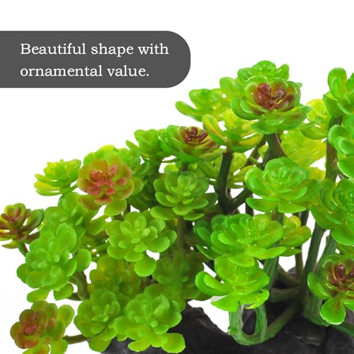kathson Reptile Plant Succulent,Artificial Plants Aquarium &Terrarium Accessories for Bearded Dragon Crested Leopard Gecko Lizard Chameleon Tortoise Betta Fish Hermit Crab - color: 【succulent】, size: 【1PCS】