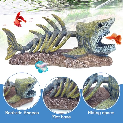 kathson Fish Tank Decorations Resin Shark Skeleton Aquarium Decor Reptile Tank Accessories Ornament Fish Bone Hideout for Shrimp Lizards Geckos Spiders - style: Shark Skeleton