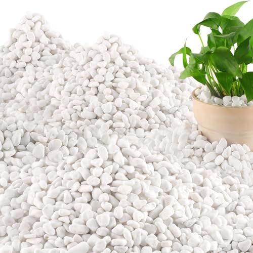Mulctun 45LB Natural White Rocks, 1/4"-3/4" Garden River Rock,Decorative Pebbles Aquarium Gravel for Indoor Plants Garden Landscaping Terrarium Fish Tank and Outdoor Decoration - size: 45 LB