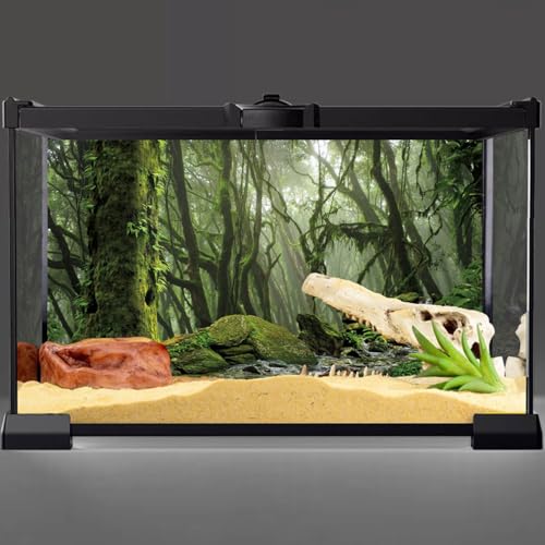 AWERT Foggy Forest Terrarium Background Stream Green Huge Tree Reptile Habitat Background Tropical Rainforest Aquarium Background 36x20 inches Durable Polyester Background - size: 36x20in/90x50cm