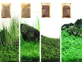 4 Bags Aquarium Plant S.e.e.ds, not Artificial Plastic Plant, Fish Tank Live Grass for All Substrate (0.36ozTiny+0.36oz Long+0.36oz Short+0.36oz Big Dual) ZQV-010
