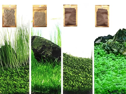 4 Bags Aquarium Plant S.e.e.ds, not Artificial Plastic Plant, Fish Tank Live Grass for All Substrate (0.36ozTiny+0.36oz Long+0.36oz Short+0.36oz Big Dual) ZQV-010