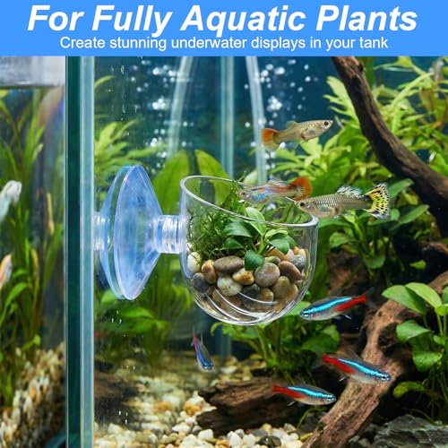 2PCS Aquarium Plant Holder, Fish Tank Plant Holder for Aquascape Decoration, Red Worm Fish Feeder, Aquarium Planter Cup with Suction Cup, Clear