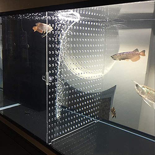 ONE Set Clear Fish Tank Divider Board (Include Suction Cups) DIY Designed Easy to Cut and Assemble for 5 Gallon or 10 Gallon Tank 11.8inch*11.8 inch (White Protective Film)