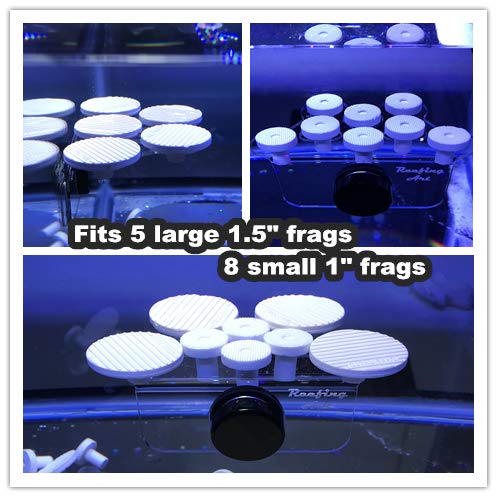 8 Plugs Coral Frag Rack (Set of One)