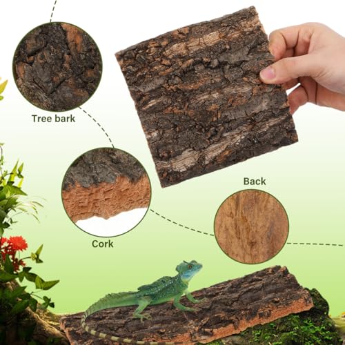 SOIMISS 5 Pcs Reptile Cork Bark Background for Terrarium Natural Tree Bark Hideout and Climbing Wall Vivarium Decor for Gecko Bearded Dragon Turtle and Lizard Tanks