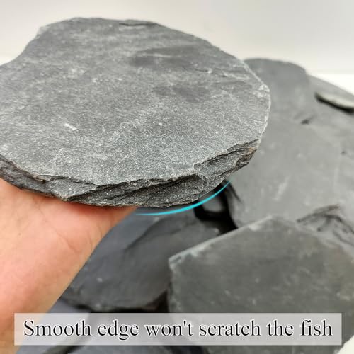 Slate Rock for Aquarium, 3-5 Inch Polished Natural Stone Rocks, Fish Tank Decor, Aquascaping Rocks, Safe for Aquariums, Terrariums, 5 lbs - color: 5 lbs, size: 3-5 Inch