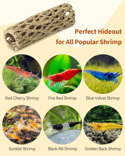 Uniclife Shrimp Hides for Aquarium, Shrimp Cave, Realistic Resin Aquarium Hollow Cholla Wood Decorations, Shrimp Hideout Tank Accessories for Fish Tank Decor, Hiding & Resting,2pcs - size: 2 PC