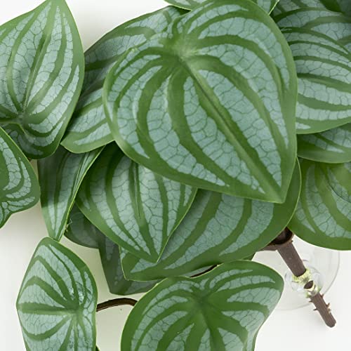 Reptile Plants for Terrarium, Amphibian Habitat Decor Artificial Hanging Plants with Suction Cup - Fake Calathea Orbifolia