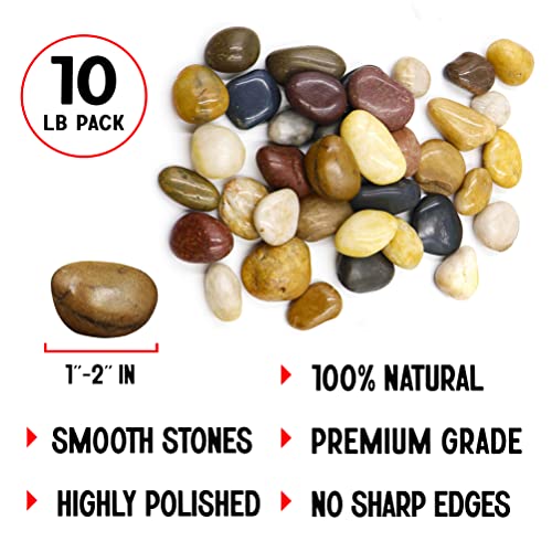 Polished Colored Stone Pebbles 10 Lb. 1” – 2” inch Pebbles for Plants, Fairy Gardens, Décor, Landscaping, Succulent, Terrarium, Decorative, 100% Natural Colorful Stone Pebbles, Multicolored Rocks